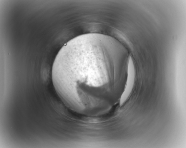 X0000088740073200706212104
