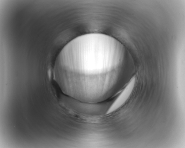 X0000088740076200706212104