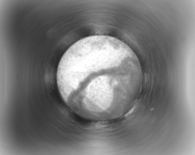 X0000088740078200706212104