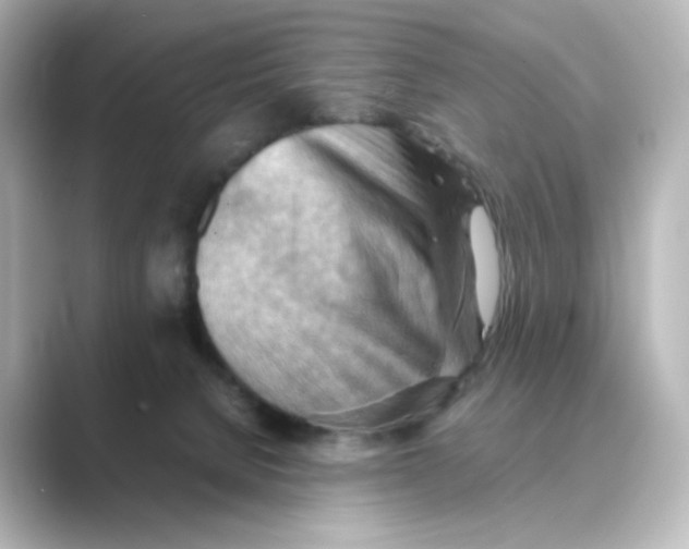 X0000088740080200706212104