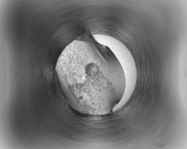X0000088740085200706212104