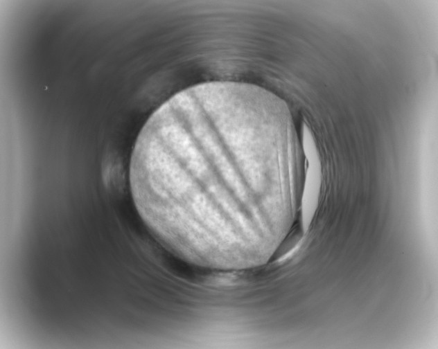 X0000088740086200706212104