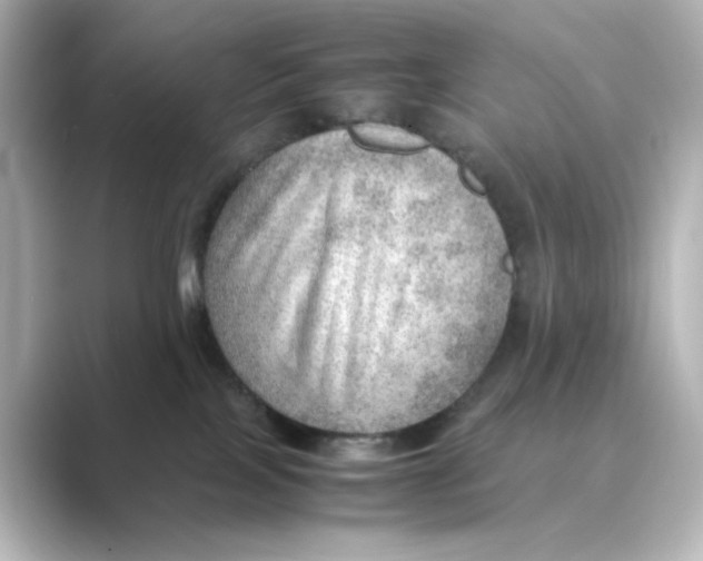 X0000088740089200706212104