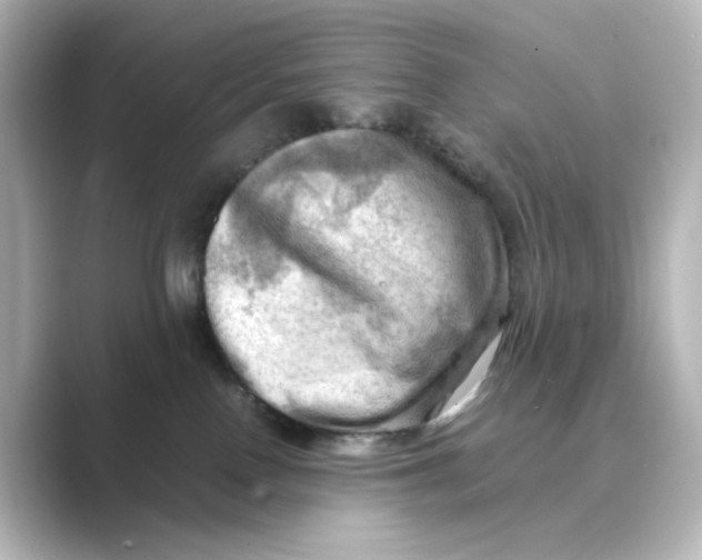 X0000088740090200706212104