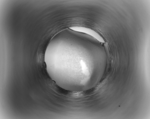 X0000088740093200706212104