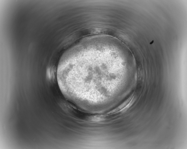 X0000088740094200706212104