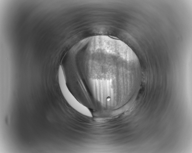 X0000088740095200706212104