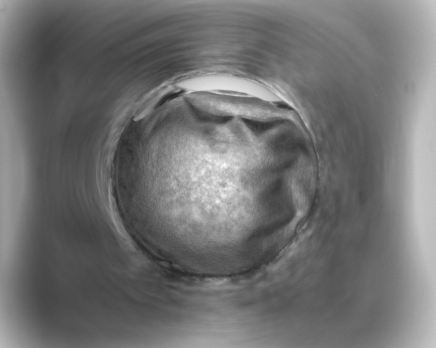 X0000088740097200706212104