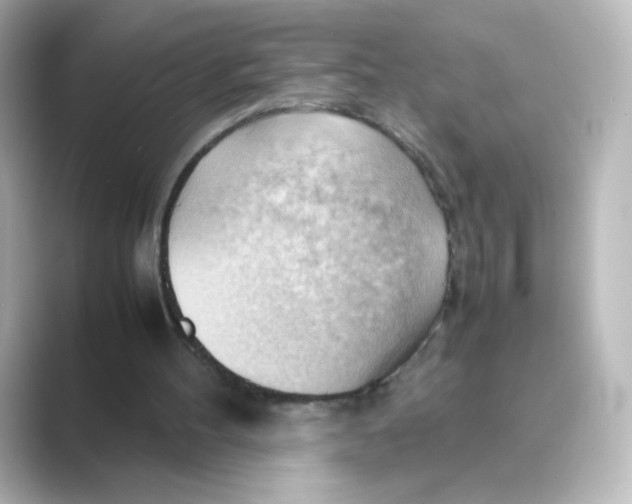 X0000088740100200706212104