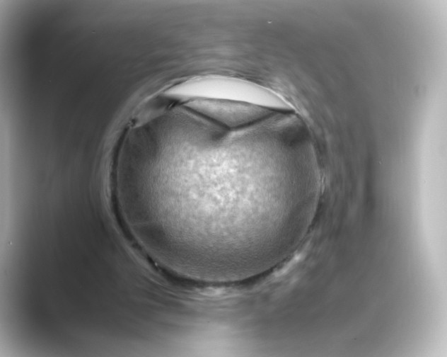 X0000088740101200706212104