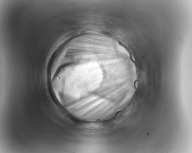 X0000088740102200706212104