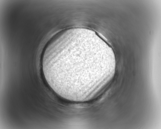 X0000088740103200706212104