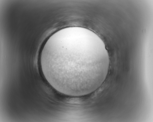 X0000088740104200706212104