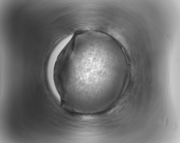 X0000088740105200706212104