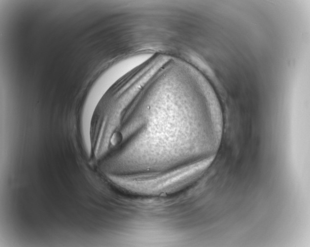 X0000088740106200706212104