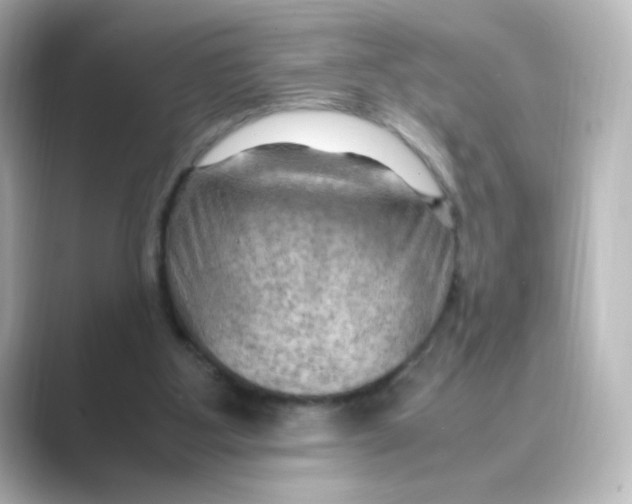 X0000088740107200706212104