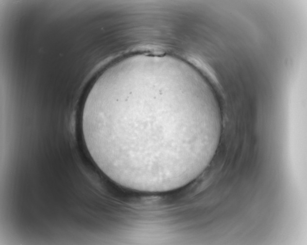 X0000088740108200706212104
