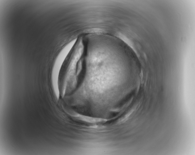 X0000088740109200706212104