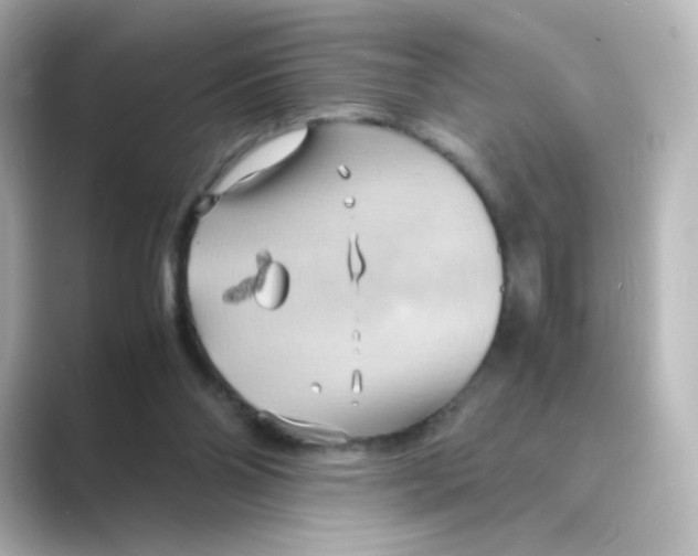 X0000088740110200706212104