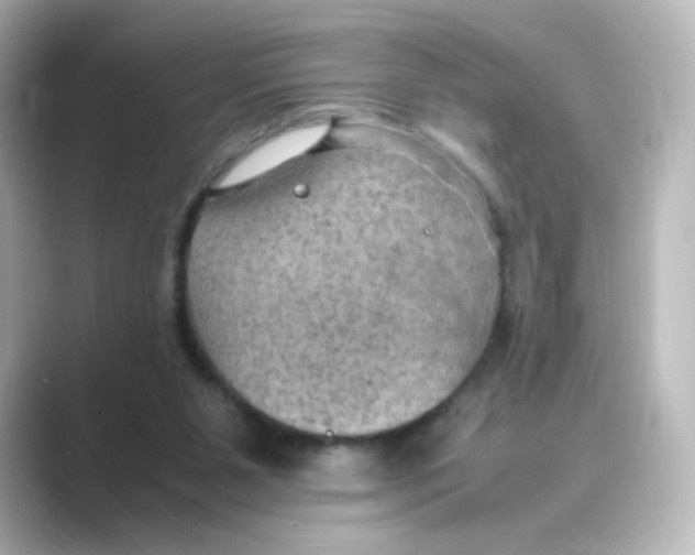 X0000088740111200706212104