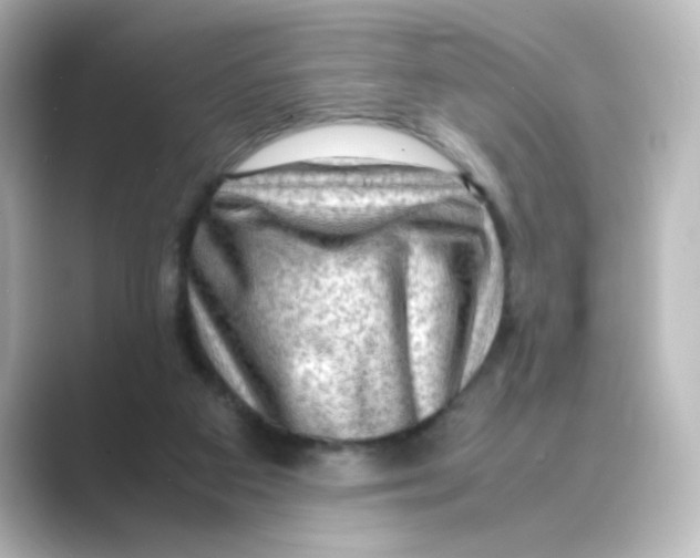 X0000088740113200706212104
