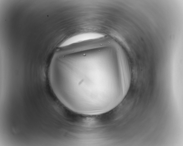 X0000088740114200706212104