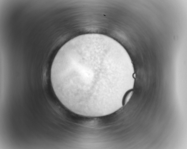 X0000088740116200706212104