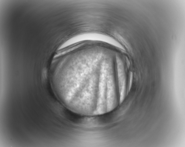 X0000088740117200706212104