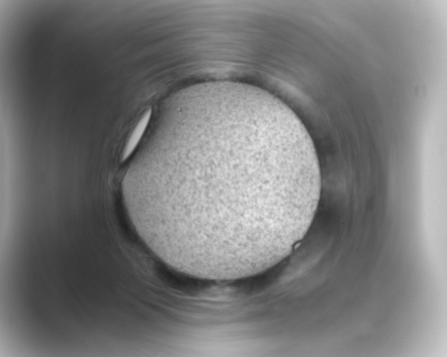 X0000088740119200706212104