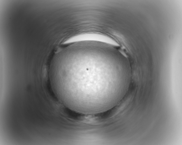 X0000088740121200706212104