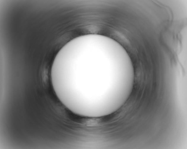 X0000088740122200706212104