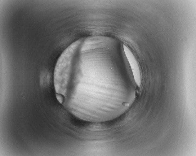 X0000088740123200706212104