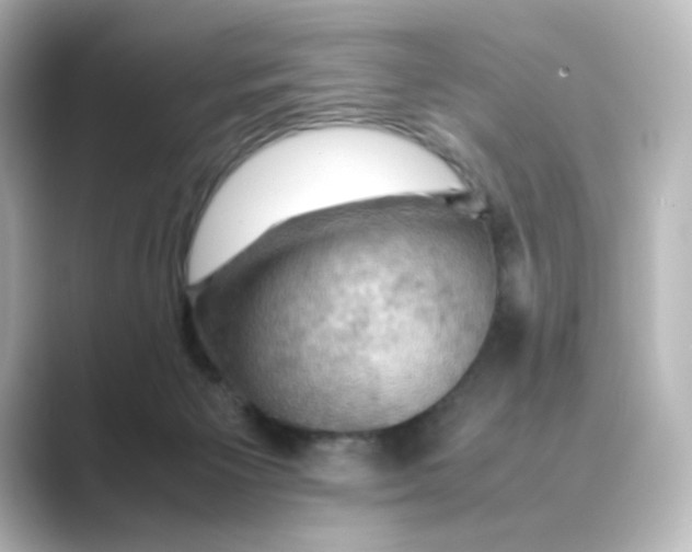 X0000088740125200706212104