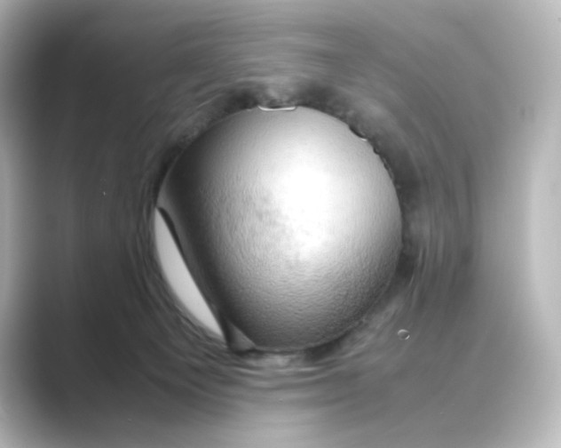 X0000088740129200706212103