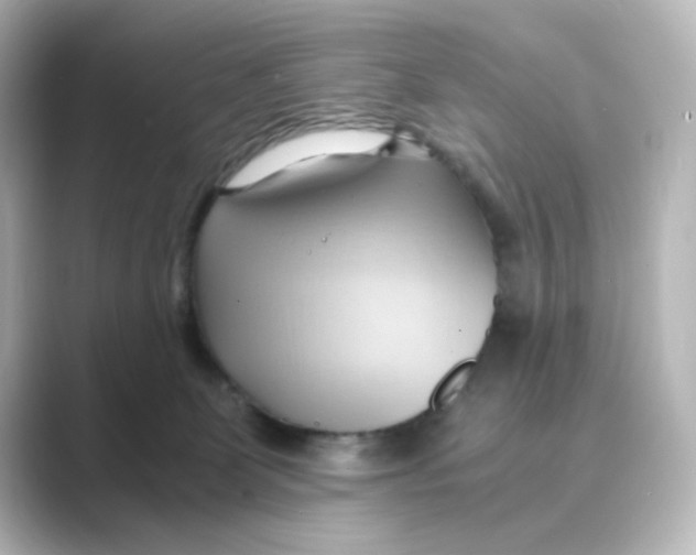 X0000088740131200706212103