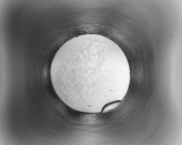 X0000088740132200706212103