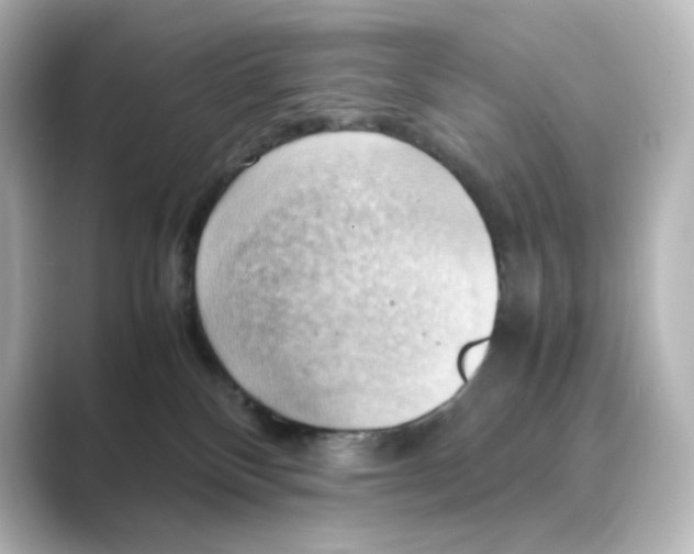 X0000088740136200706212103