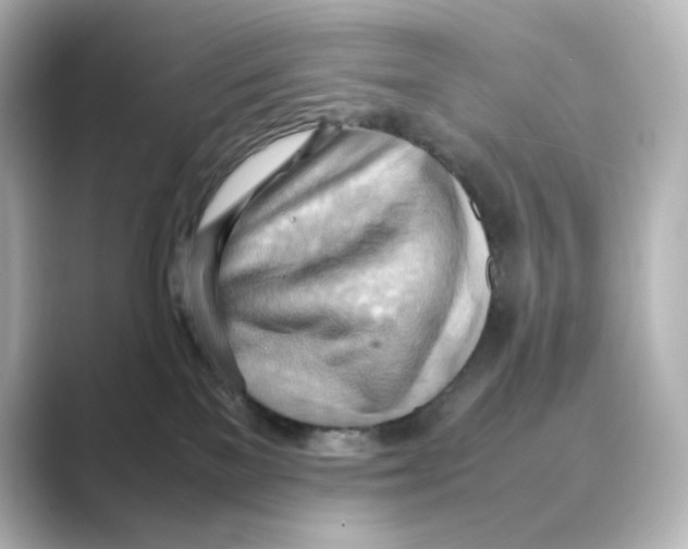 X0000088740137200706212103