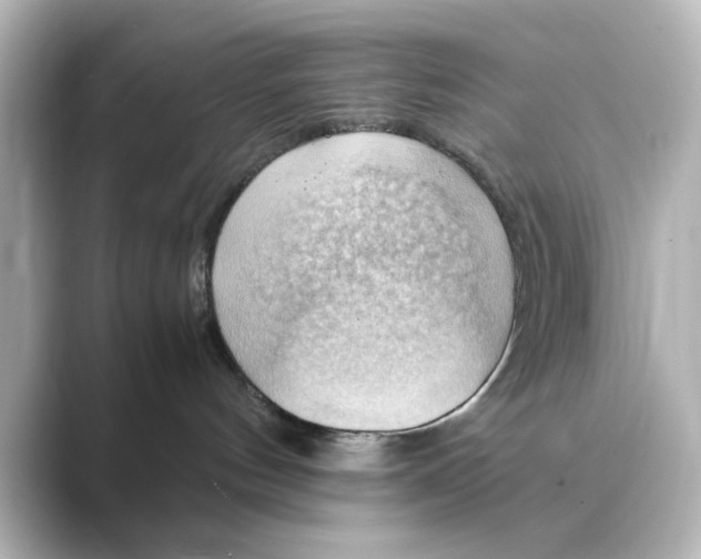 X0000088740144200706212103