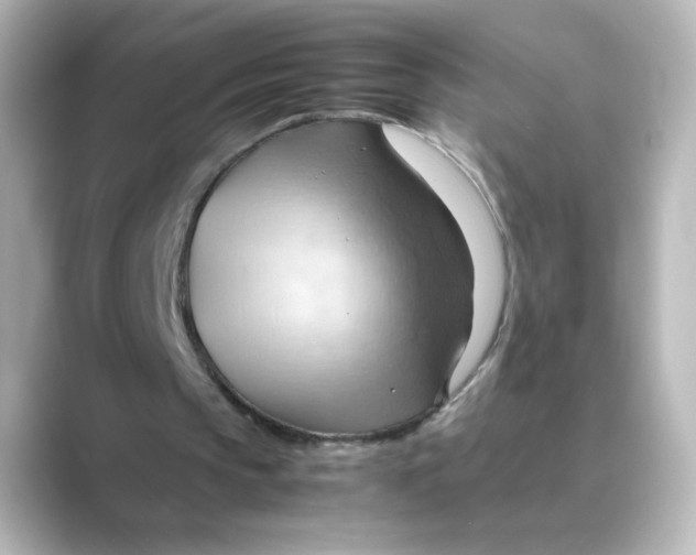X0000088740145200706212103