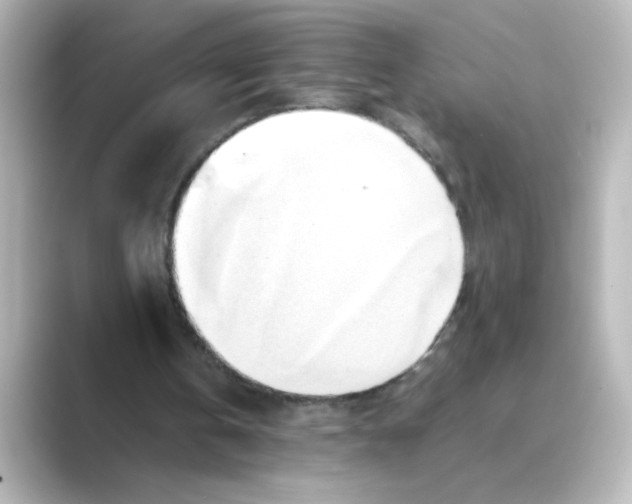 X0000088740146200706212103