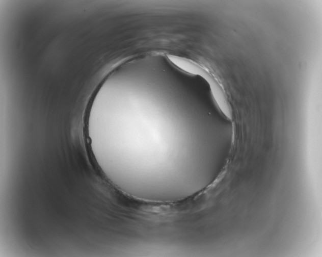 X0000088740147200706212103