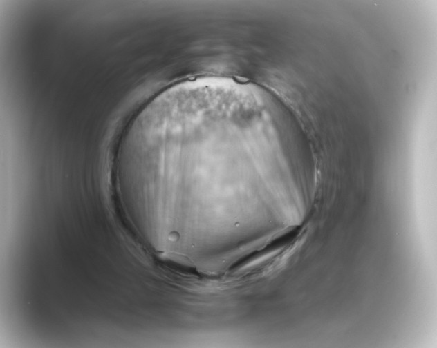 X0000088740149200706212103