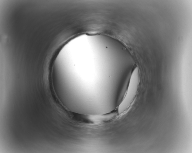 X0000088740150200706212103