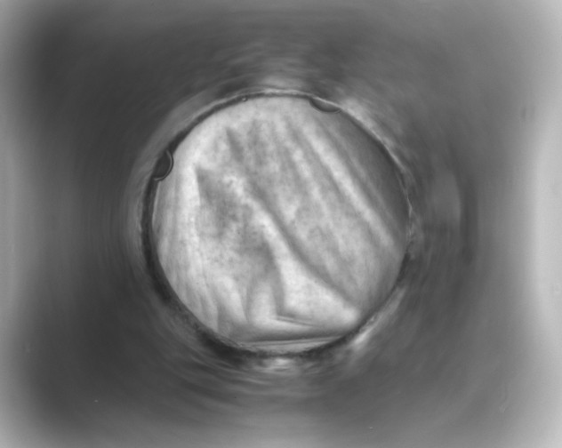 X0000088740151200706212103