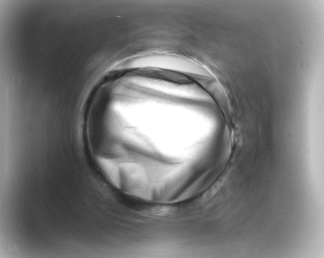 X0000088740152200706212103