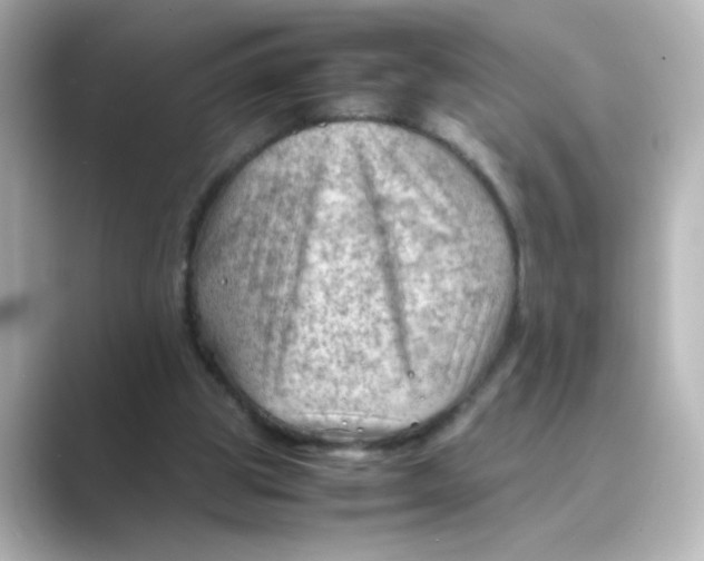 X0000088740153200706212103