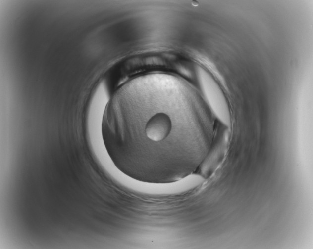 X0000088740154200706212103