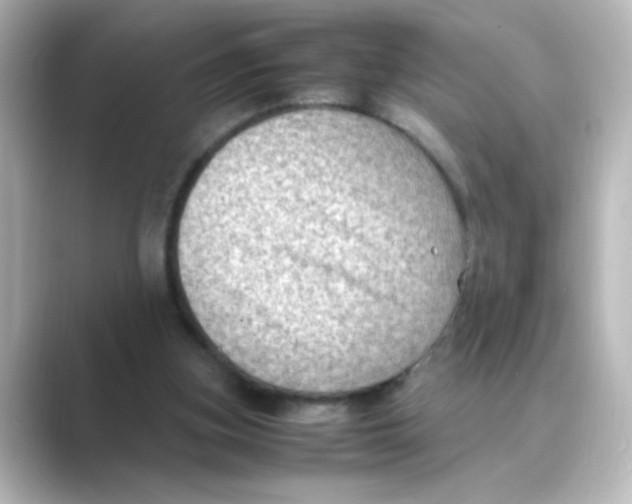 X0000088740155200706212103