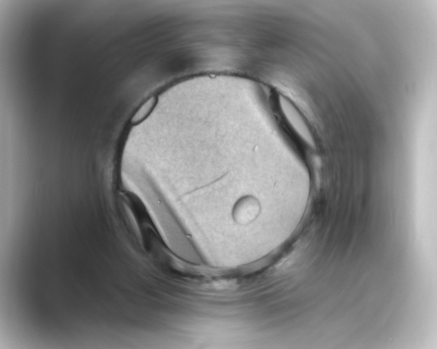 X0000088740156200706212103